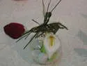 arum sur boule